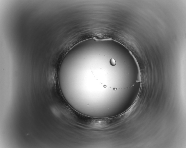 X0000096710174200802051429