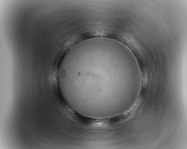 X0000096710175200802051429