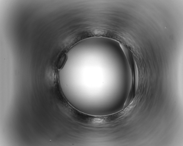 X0000096710176200802051429