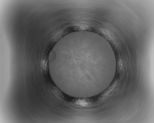 X0000096710177200802051429