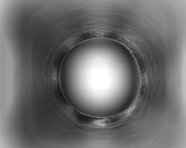 X0000096710178200802051429