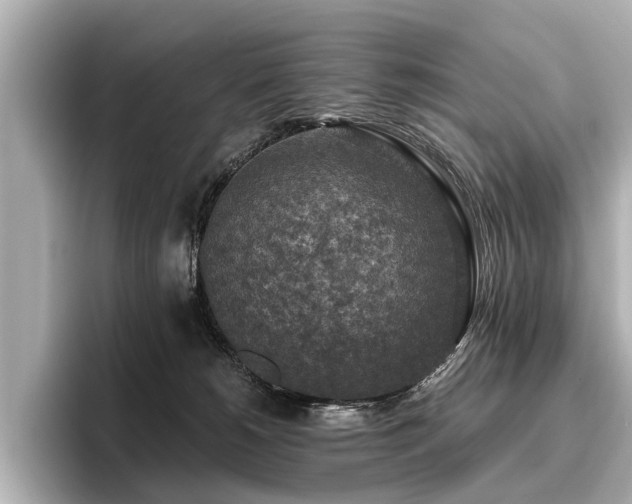 X0000096710180200802051429