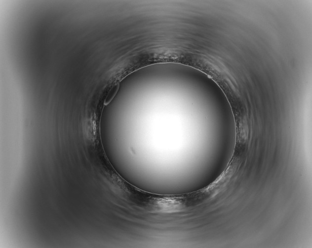 X0000096710183200802051429