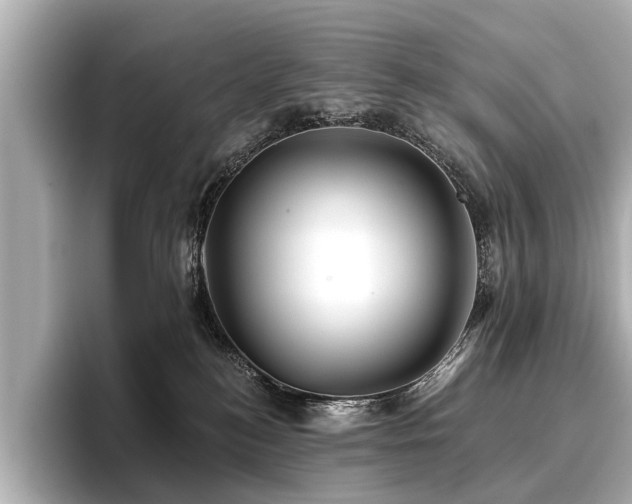 X0000096710184200802051429