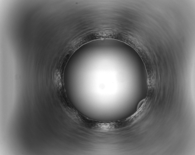 X0000096710187200802051429