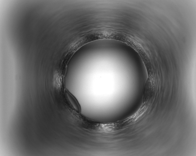 X0000096710188200802051429