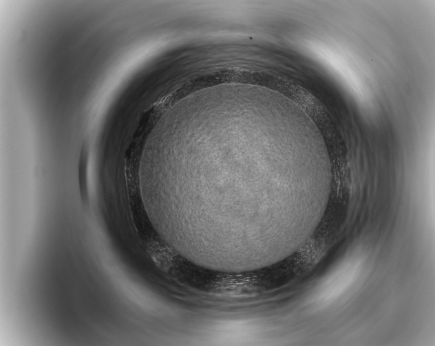 X0000096710189200802051429