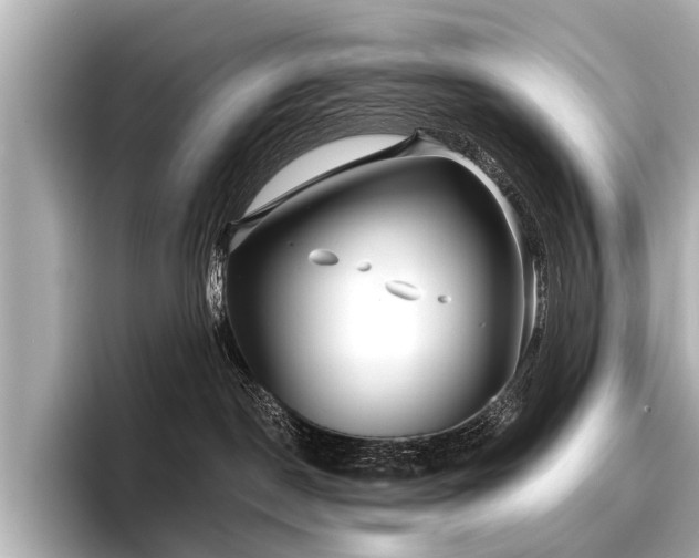 X0000096710190200802051429