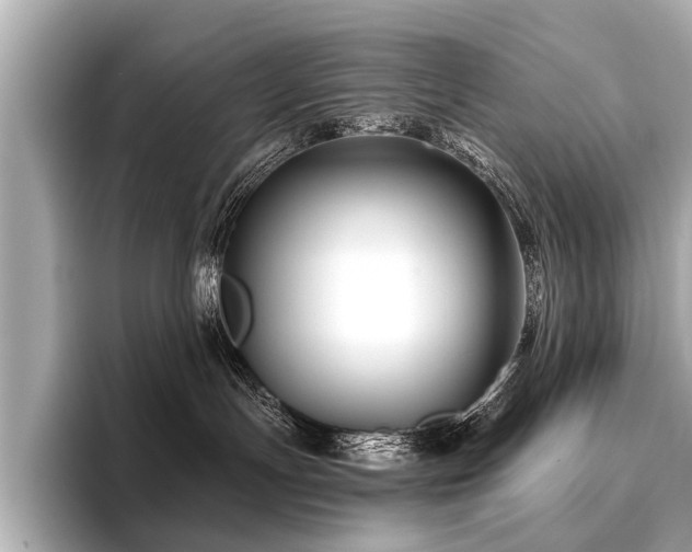 X0000096710191200802051429