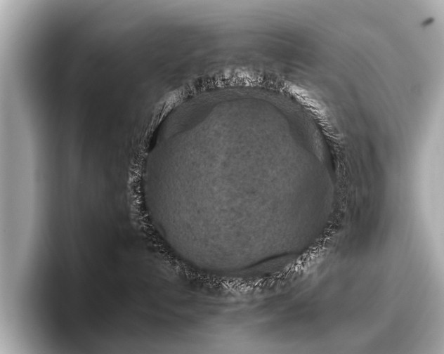 X0000096710192200802051429