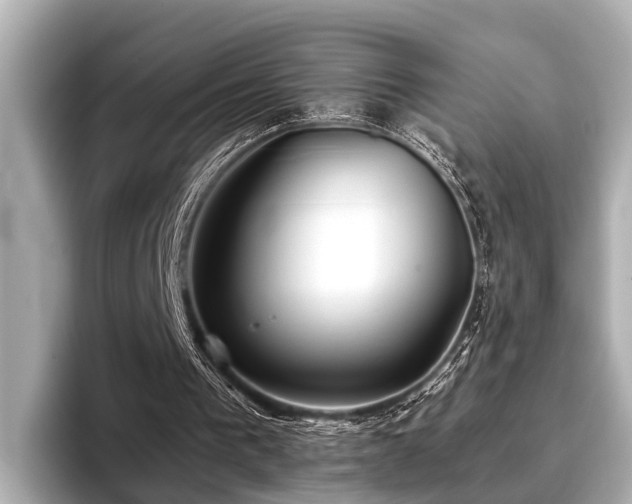 X0000096710193200802051429