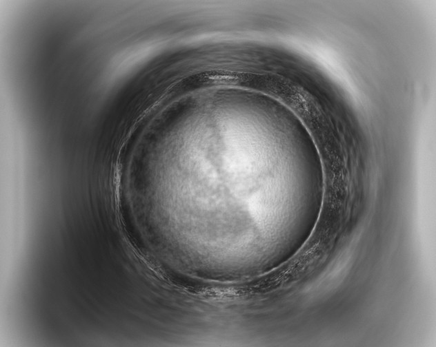 X0000096710194200802051429