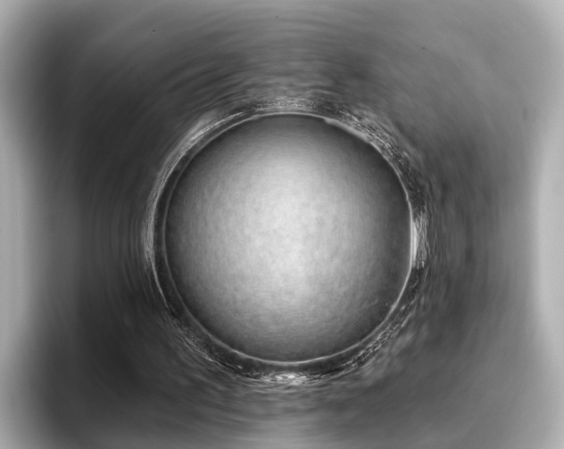 X0000096710195200802051429