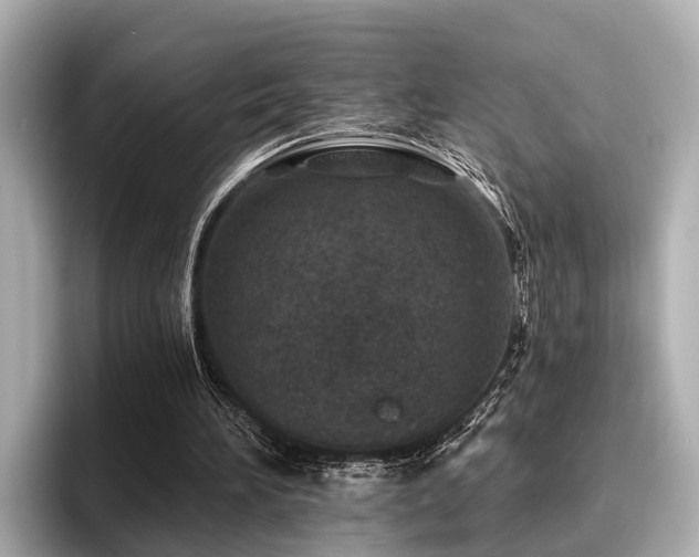 X0000096710196200802051429