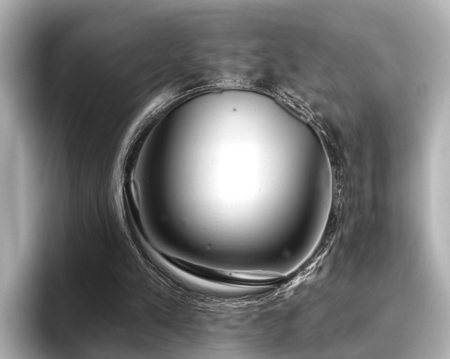 X0000096710197200802051428