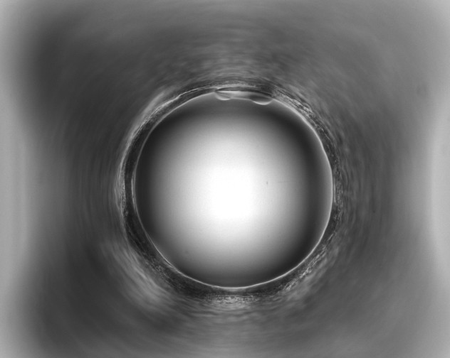 X0000096710198200802051428