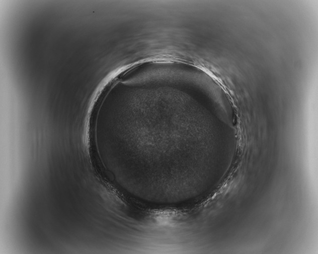 X0000096710200200802051428