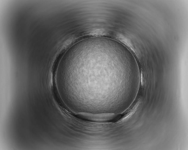 X0000096710205200802051428