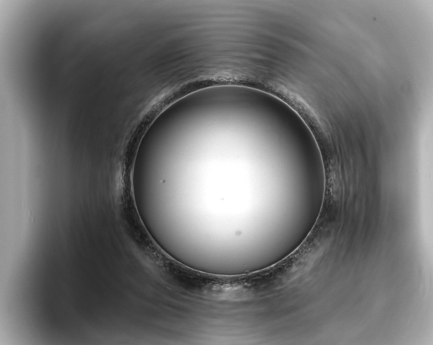 X0000096710208200802051428