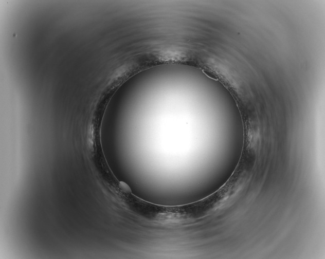 X0000096710211200802051428