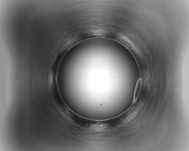 X0000096710213200802051428