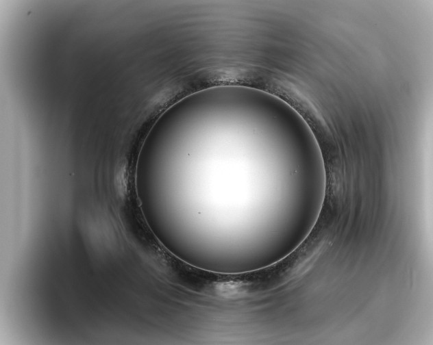 X0000096710216200802051428