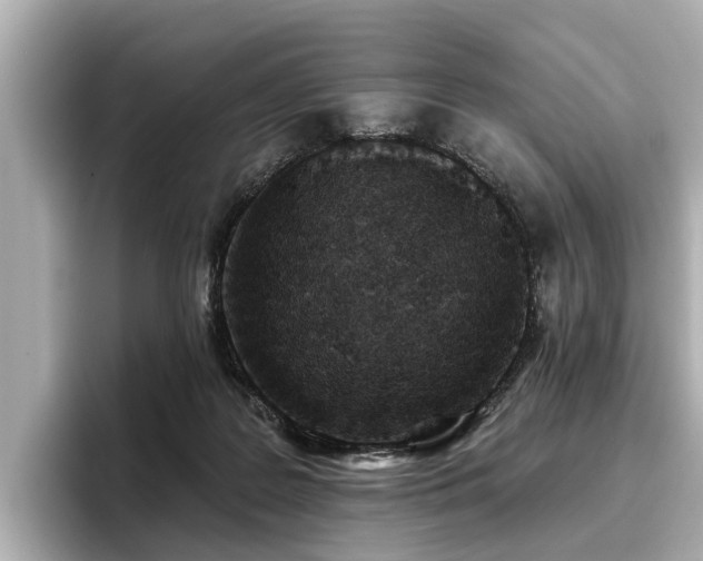 X0000096710219200802051428