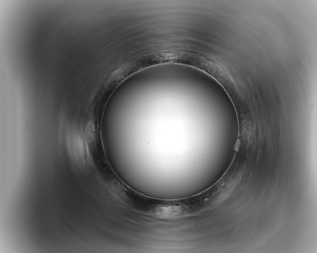 X0000096710220200802051428