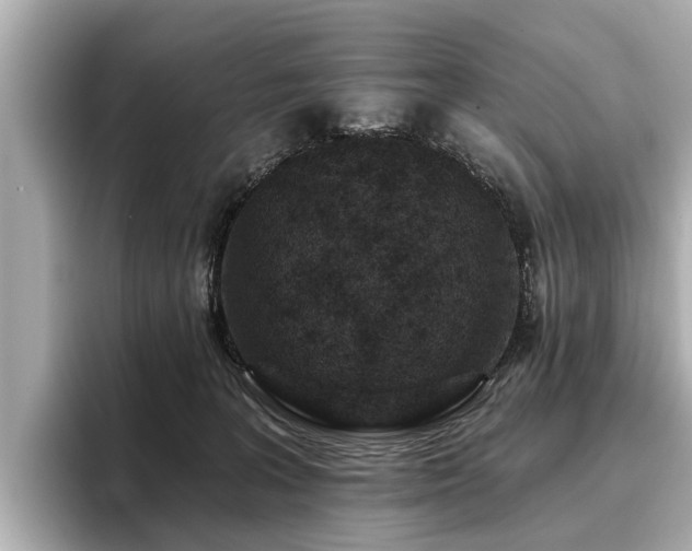 X0000096710227200802051428