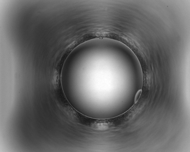 X0000096710228200802051428