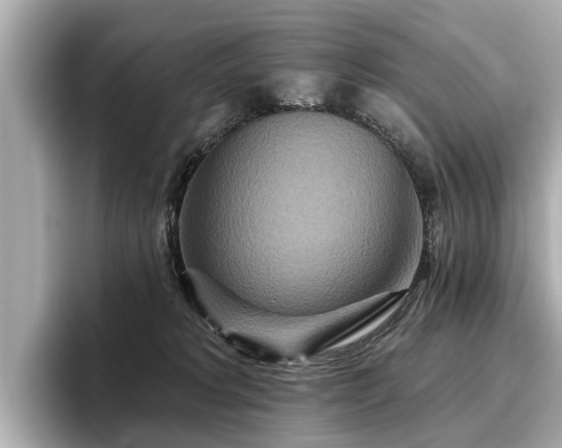 X0000096710229200802051428