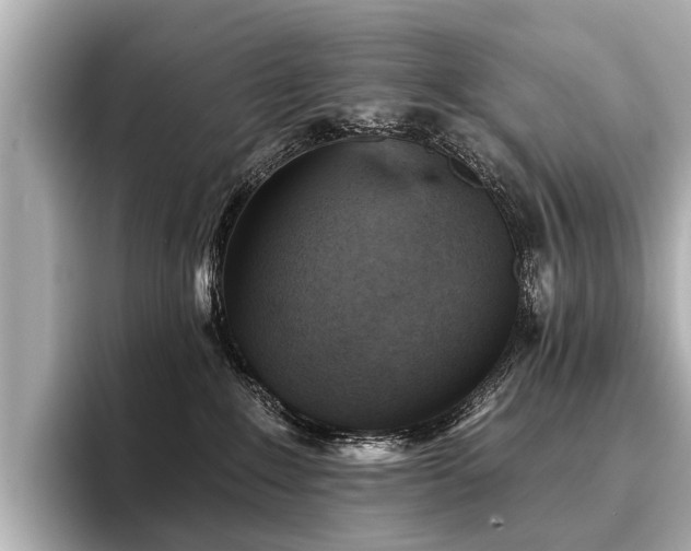 X0000096710235200802051428