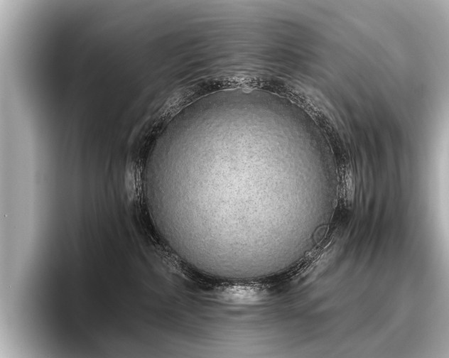 X0000096710236200802051428