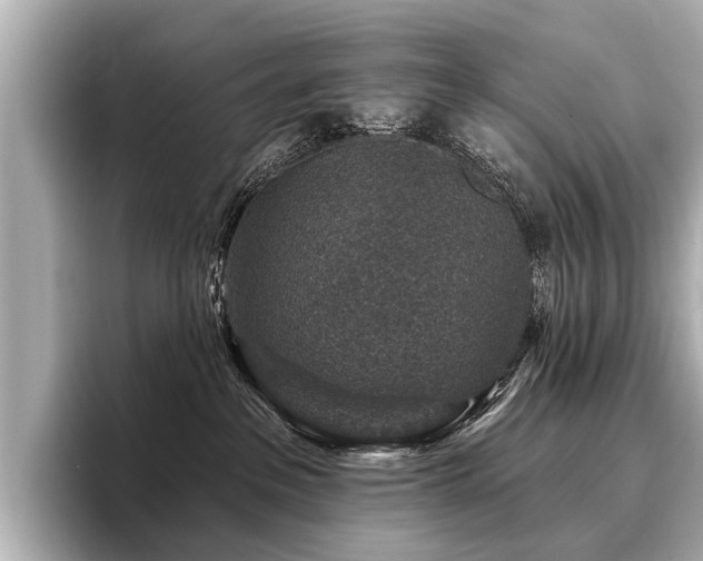 X0000096710237200802051428