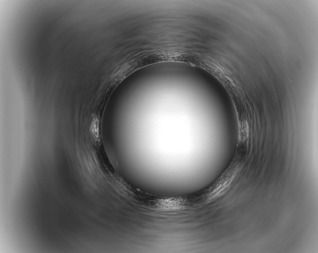 X0000096710238200802051428