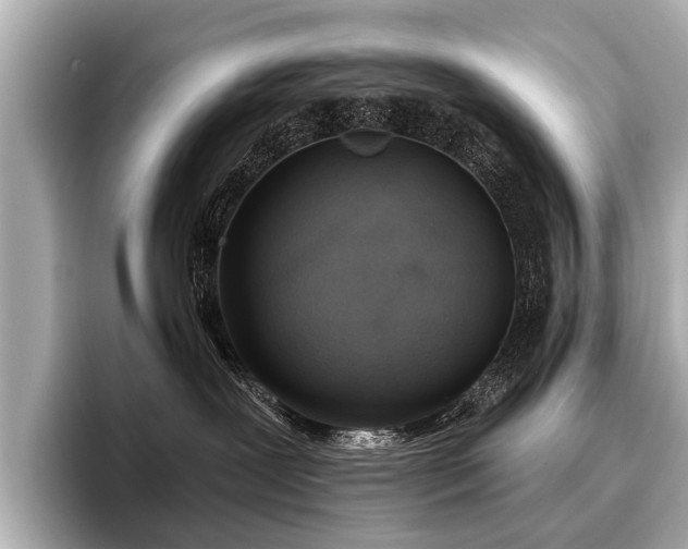 X0000096710239200802051428