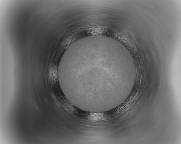 X0000096710240200802051428