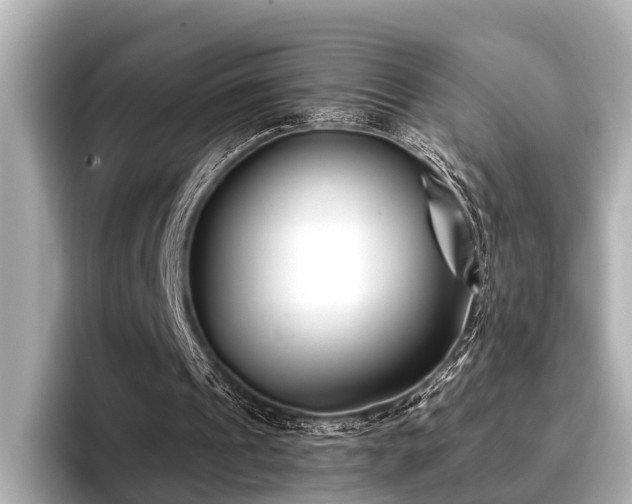 X0000096710241200802051427