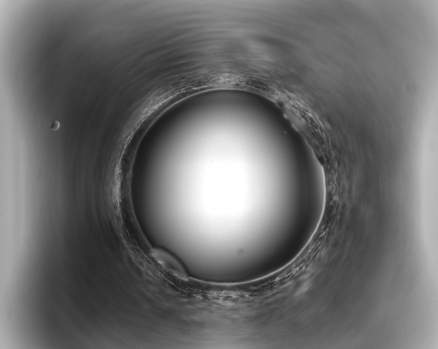 X0000096710242200802051427