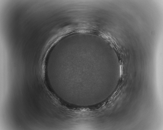 X0000096710243200802051427