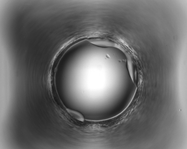 X0000096710244200802051427