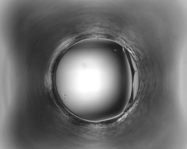 X0000096710245200802051427