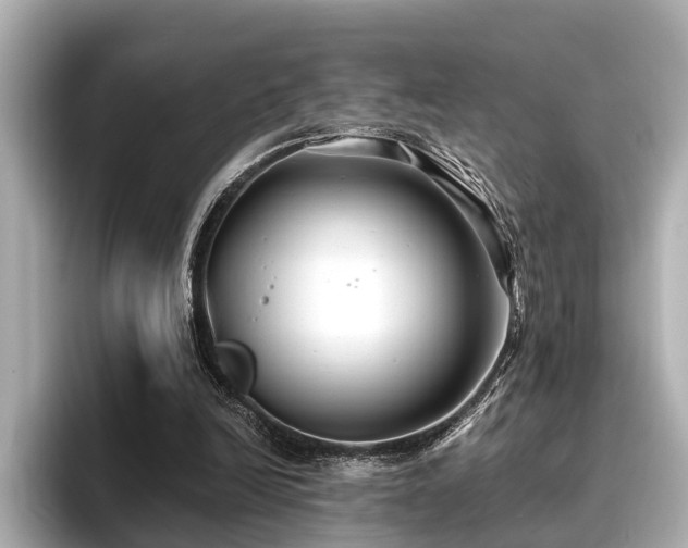 X0000096710246200802051427