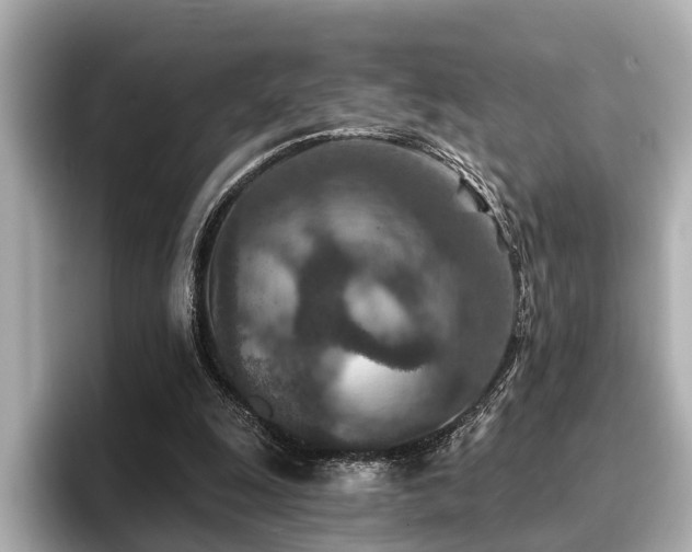 X0000096710247200802051427