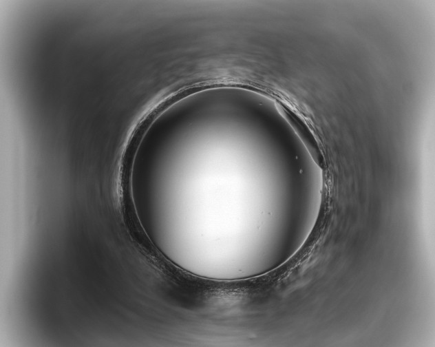 X0000096710248200802051427