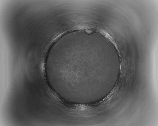 X0000096710249200802051427