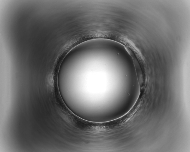 X0000096710250200802051427