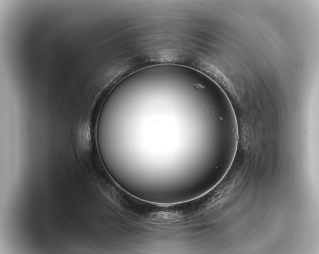 X0000096710251200802051427