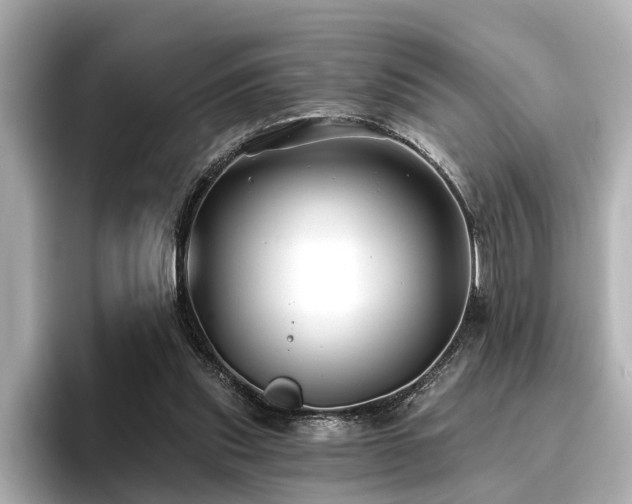 X0000096710253200802051427