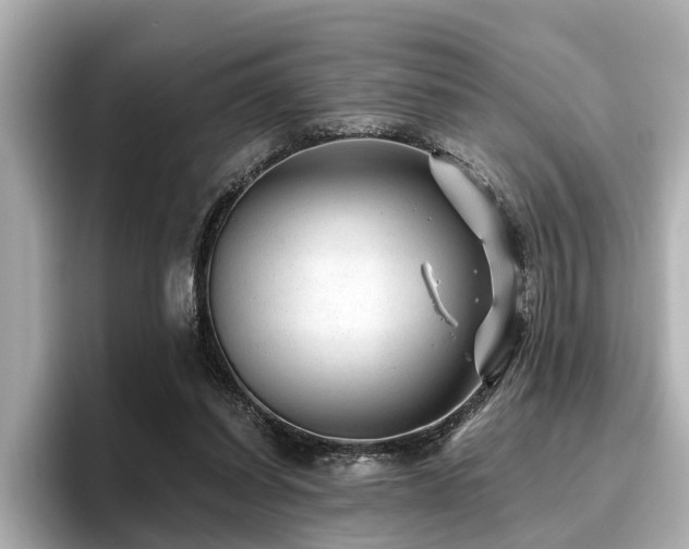 X0000096710254200802051427